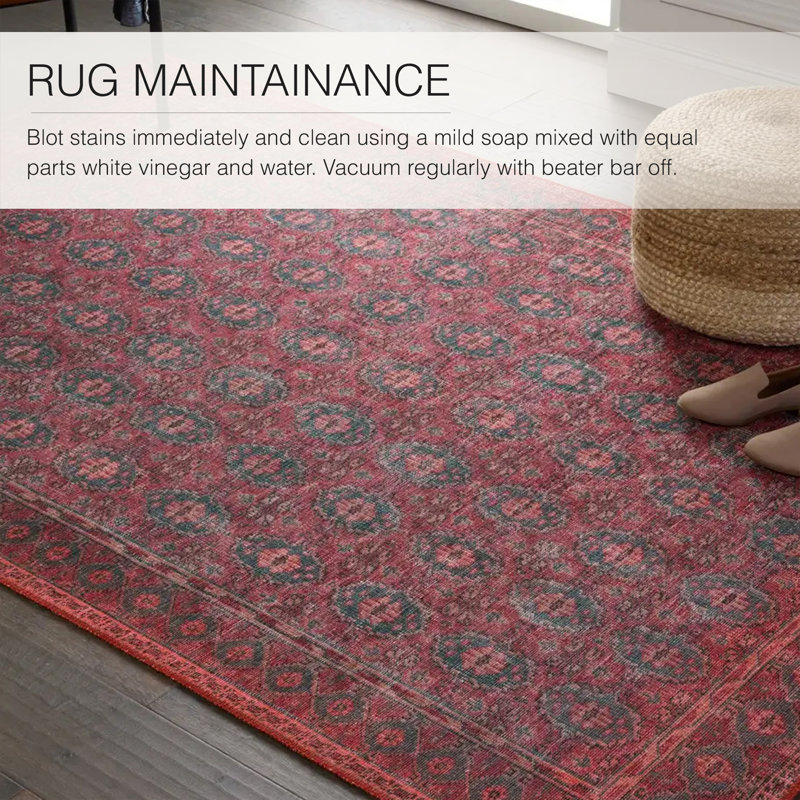 Kate Lester + Jaipur Living Machine Washable Kalinar Power Loom Performance  Dark Red/Blue Rug & Reviews | Wayfair